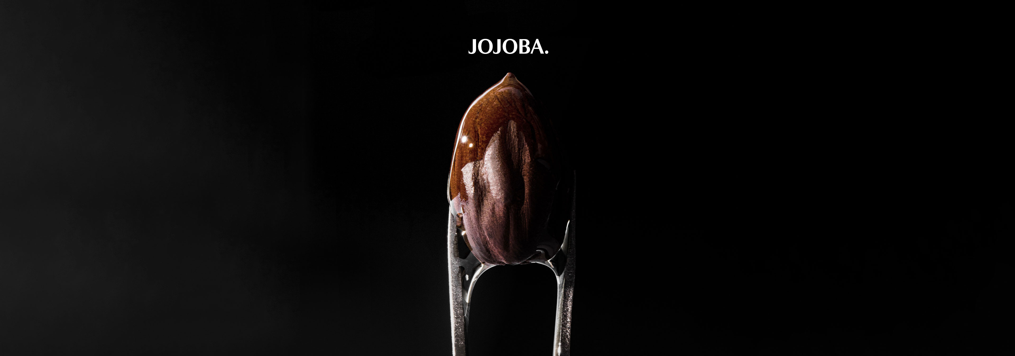 Jojoba — GYEOL HAUS signature ingredient